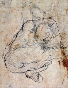 Study for the Last Judgement (recto) by Michelangelo Buonarroti